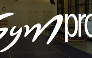 Gymproxi : un dispositif d’accompagnement pour la création de nouveaux lieux de pratique de la gymnastique