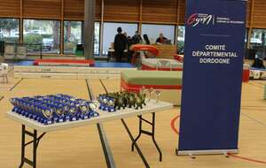 Résultats ACCESSGYM 24 Sarlat et calendrier compétitions à domicile